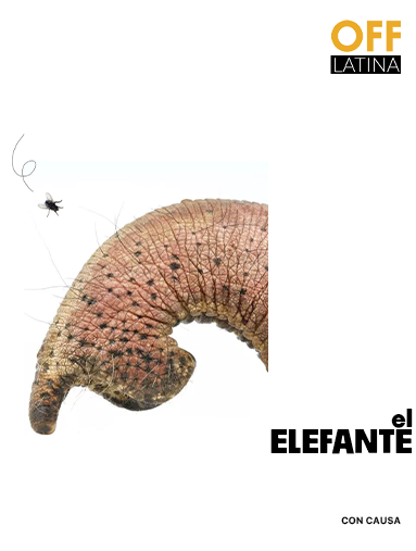 web-off-383x507pix-plantilla-2